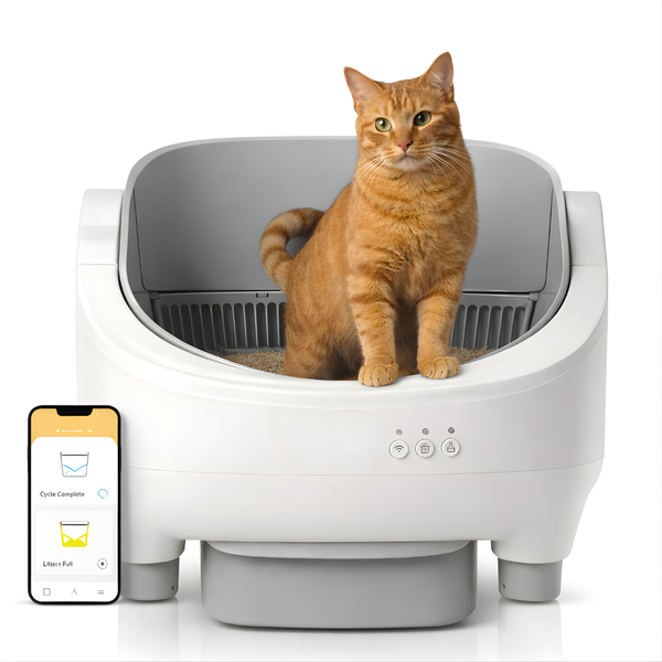 Litière automatique pour chat - Bac ouvert