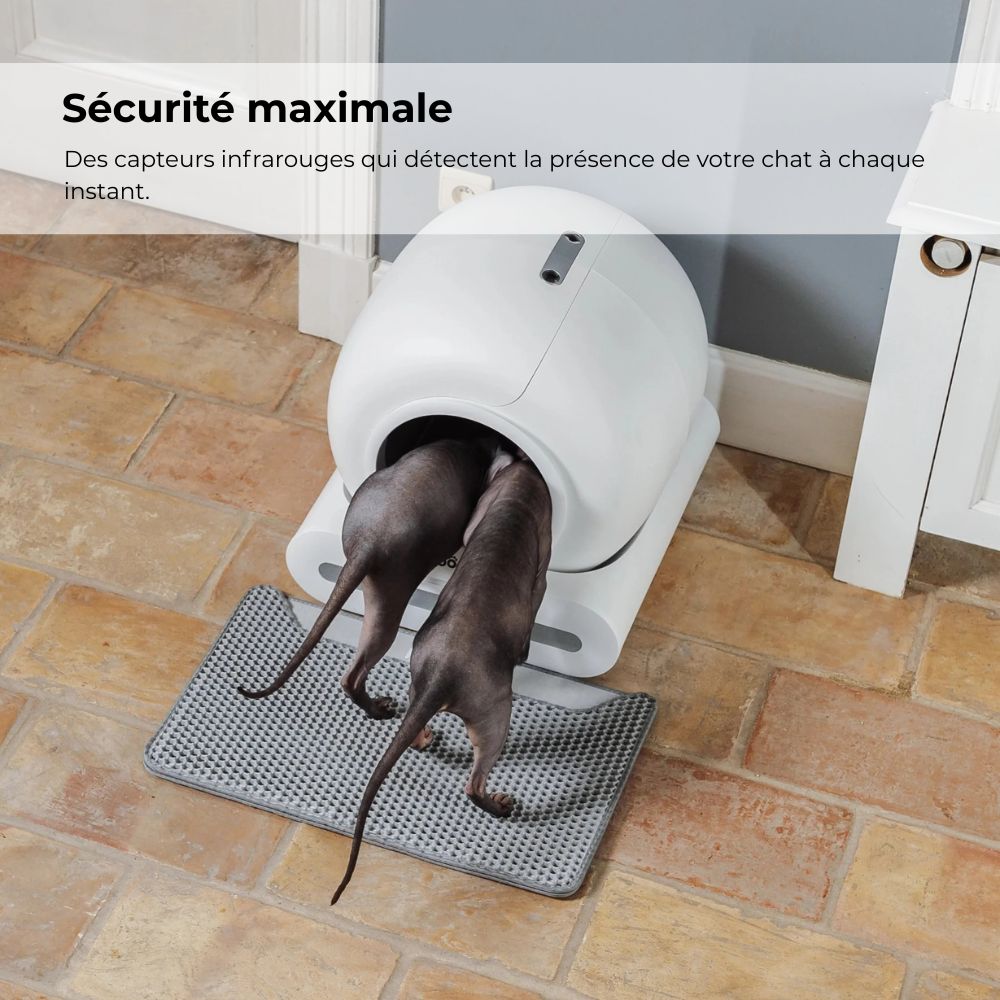 LITIÈRE AUTOMATIQUE