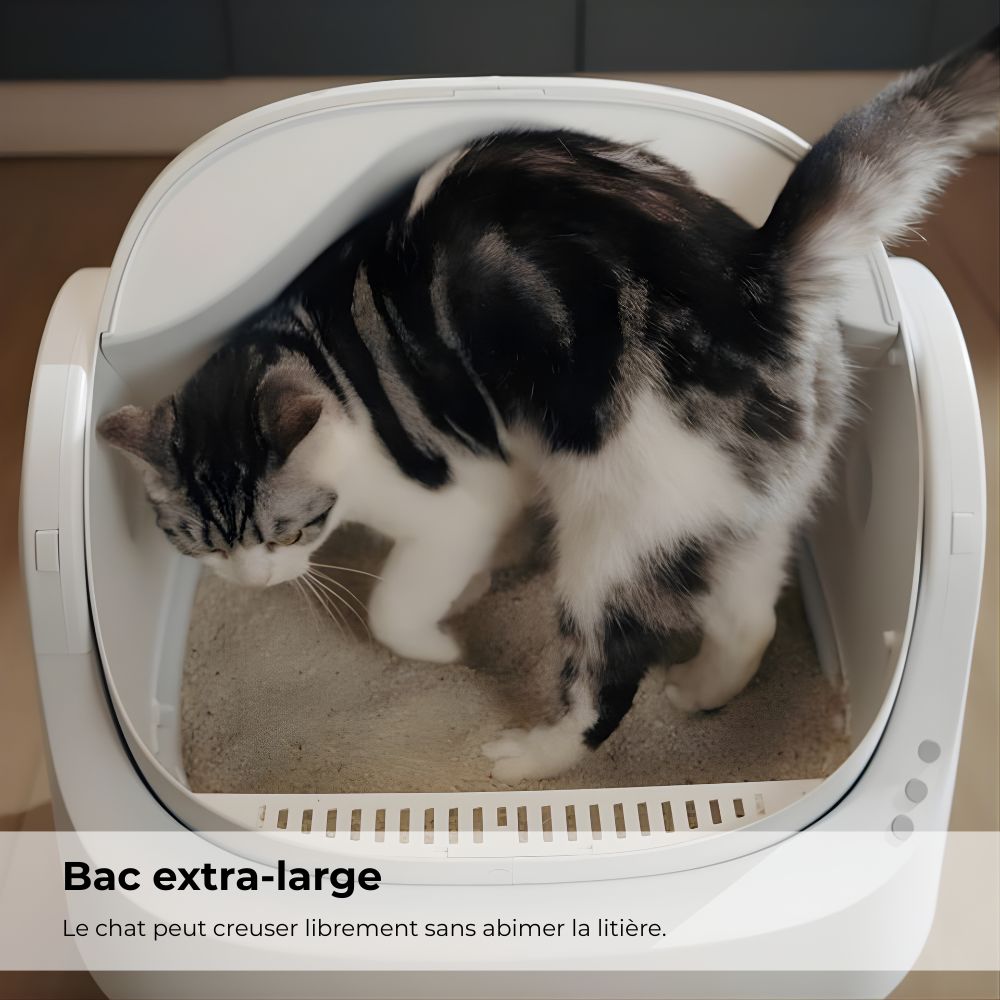 LITIÈRE AUTOMATIQUE PET PIVOT