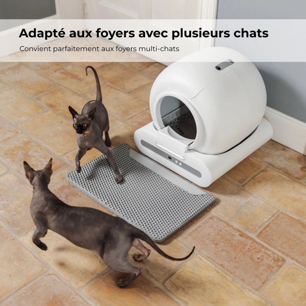 LITIÈRE AUTOMATIQUE