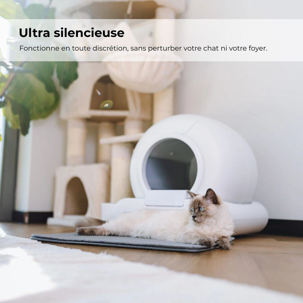 LITIÈRE AUTOMATIQUE