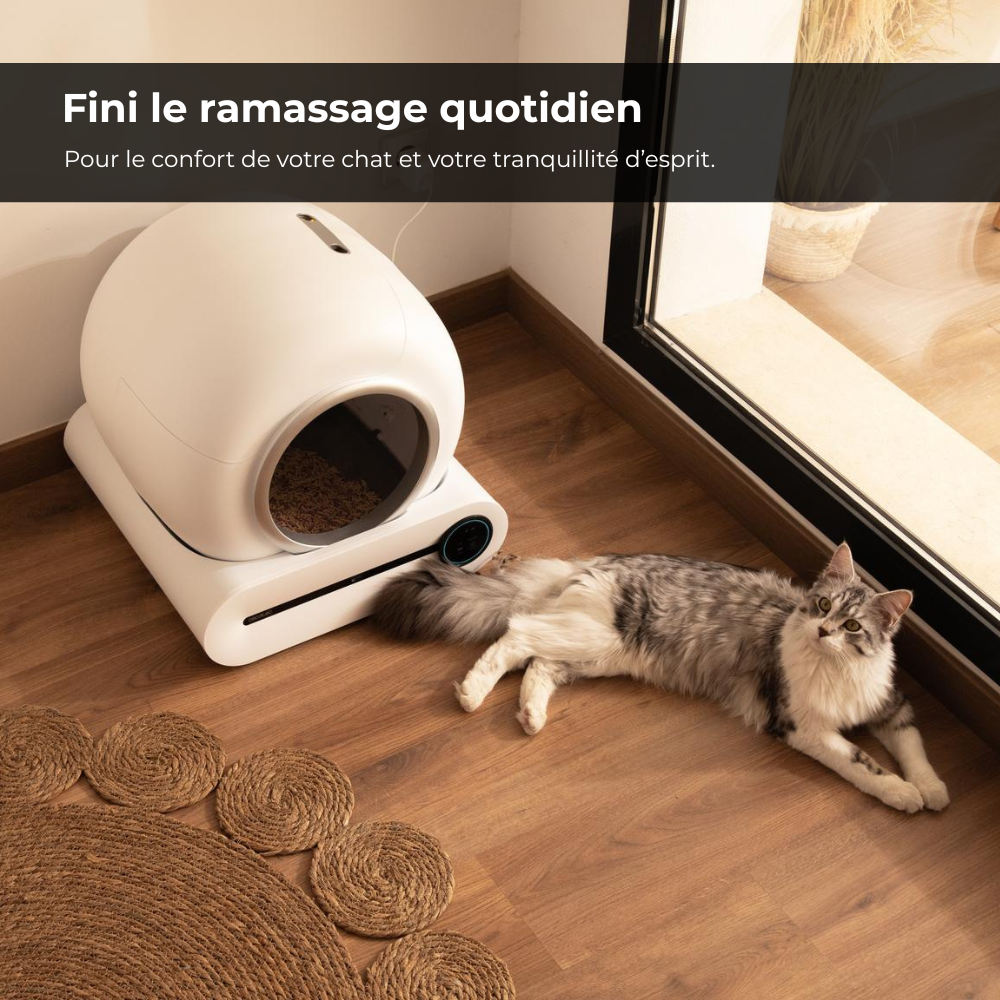 Litière automatique pour chat