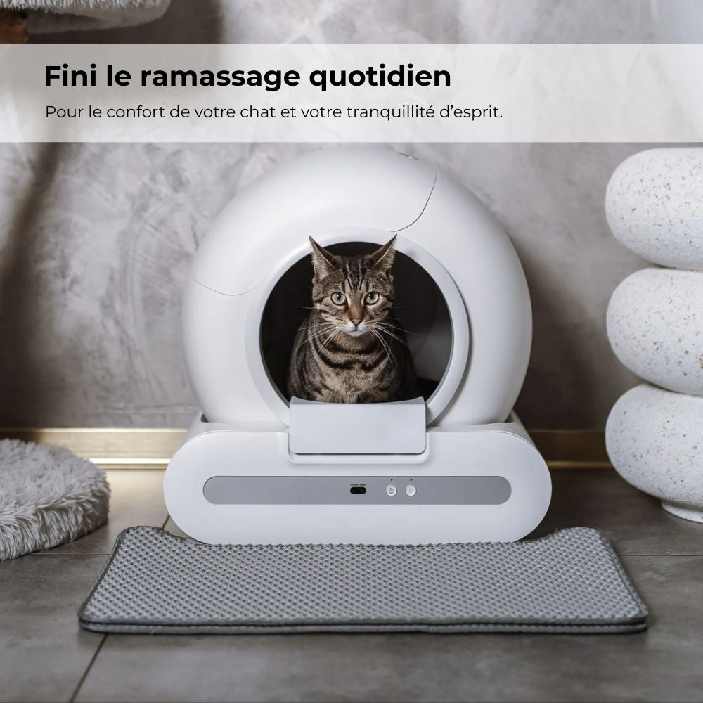 LITIÈRE AUTOMATIQUE