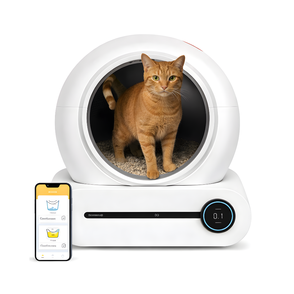 Litière automatique pour chat